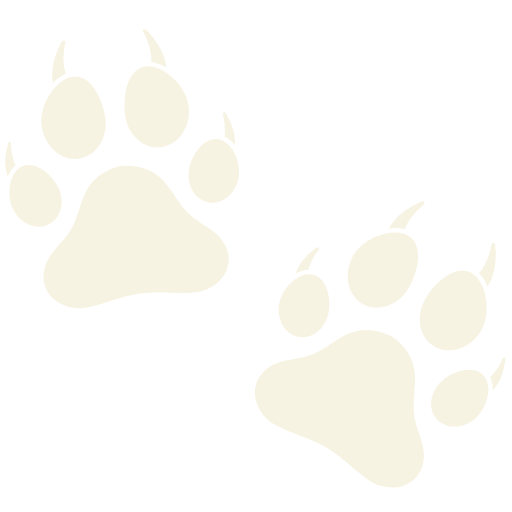 Site Icon