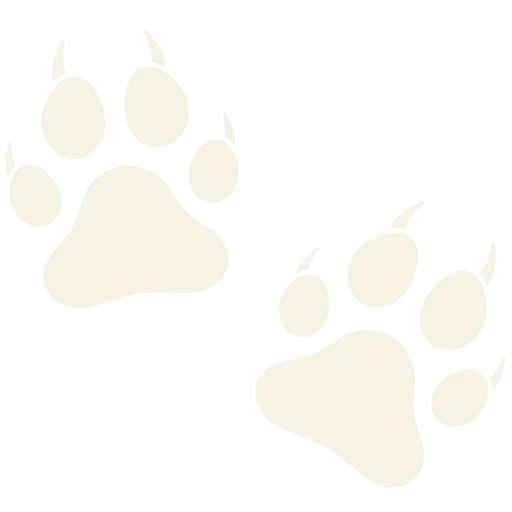 Site Icon