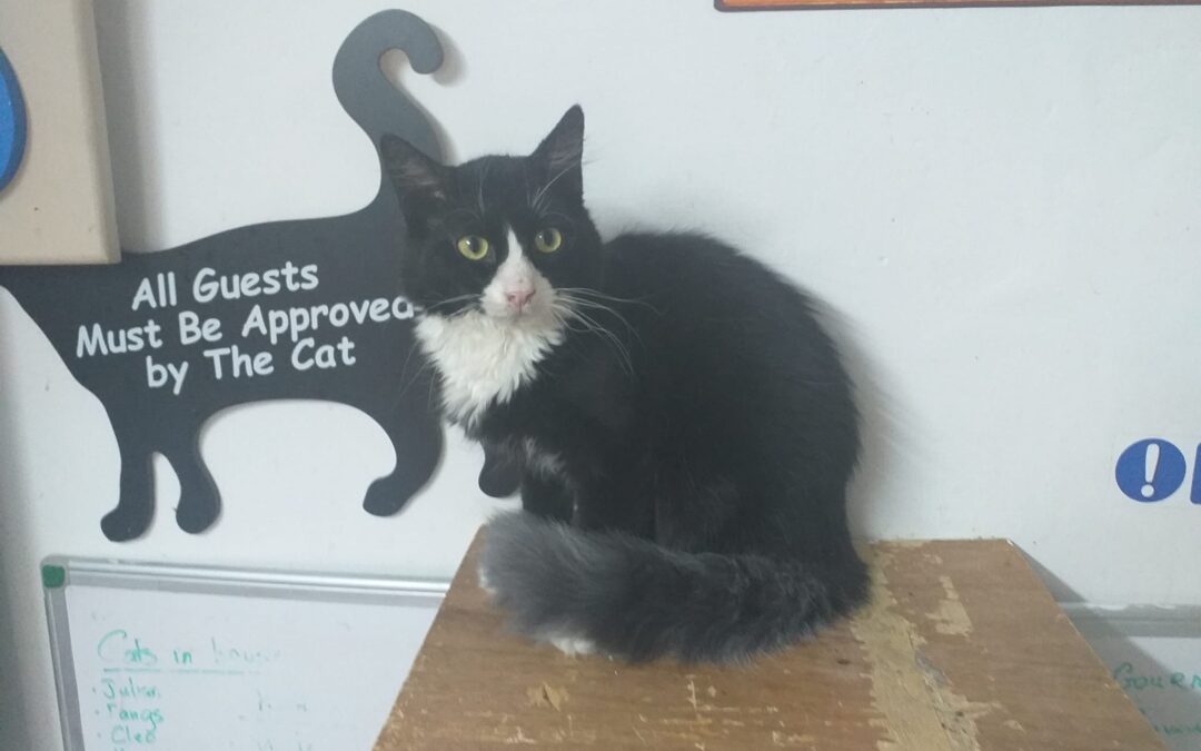 Tux